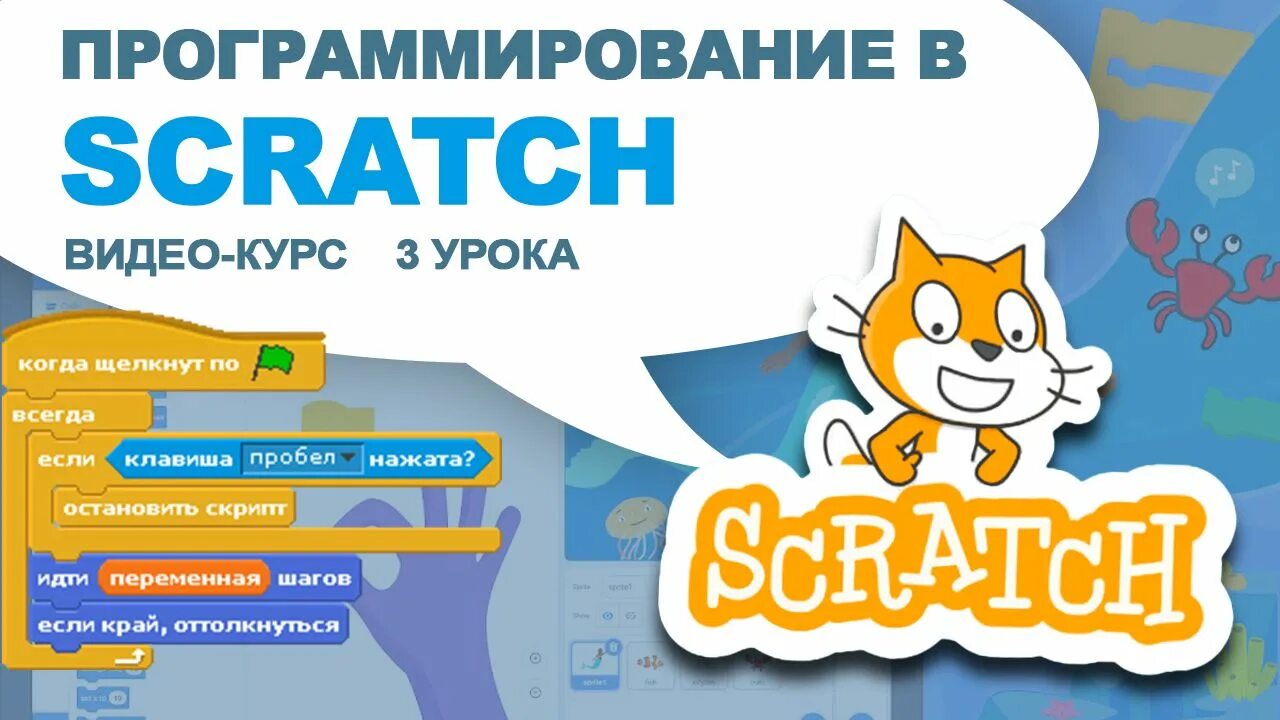 Курсы скретч. Скретч курсы. Скретч курс. Scratch 3. Работа с фигурами в Scratch (3).