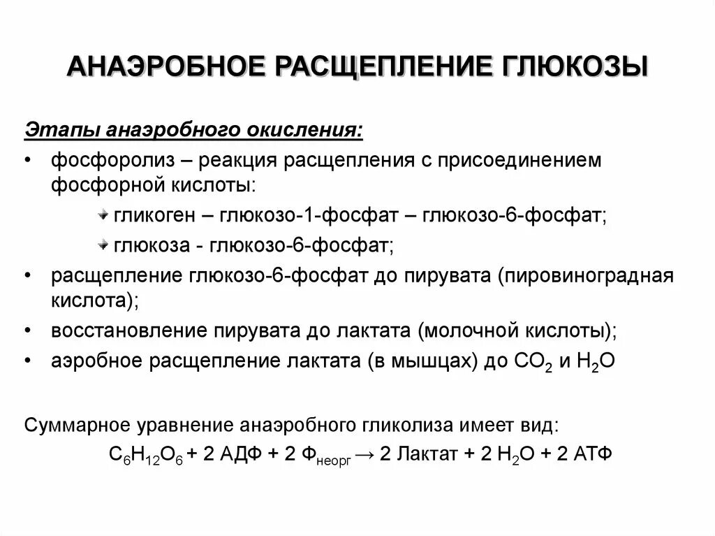 Анаэробное окисление Глюкозы. Этап расщепления анаэробной Глюкозы. Этапы анаэробного окисления Глюкозы. Анаэробное окисление Глюкозы реакции.