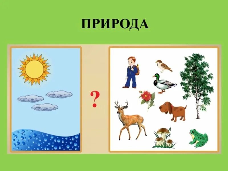 Связь живой и неживой природы 2 класс окружающий мир. Схема живой и неживой природы 2 класс окружающий мир. Живая природа рисунок. Неживая природа рисунок. Нарисуй схема природа