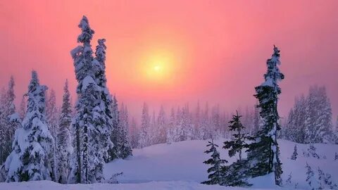 Закат 31 декабря