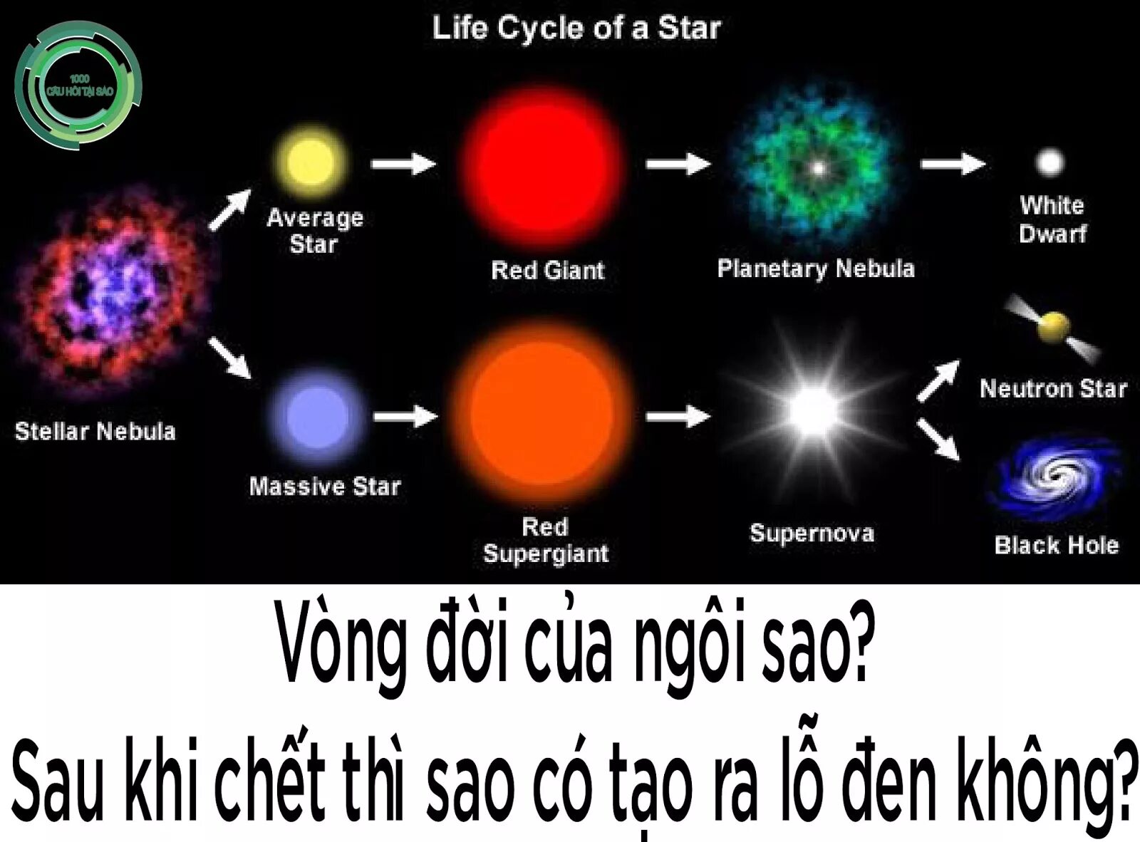 1 эволюция звезд. Схема эволюции звезд. Этапы эволюции звезд. Первый этап эволюции звезд. Развитие звезды.
