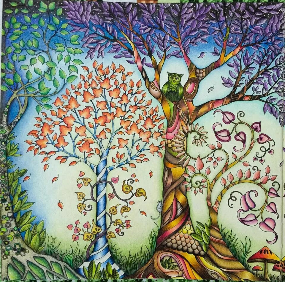 Заколдованный рисунок. Джоанна Басфорд Зачарованный лес. «Зачарованный лес» («Enchanted Forest»). Бэсфорд Зачарованный лес. Зачарованный лес Диковицкая.