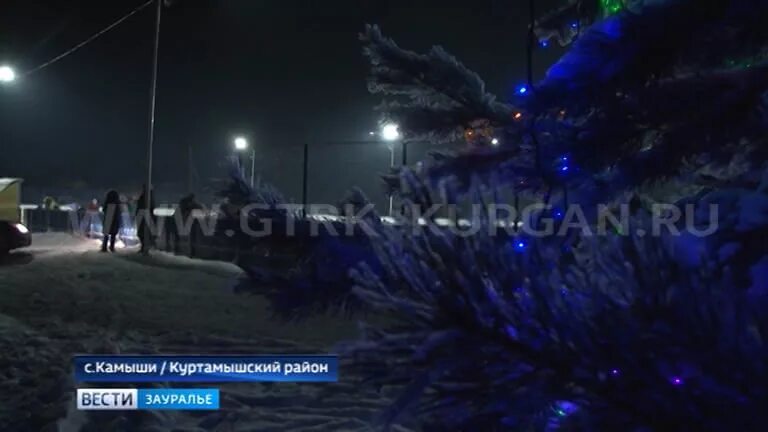 Погода камыши курганская область