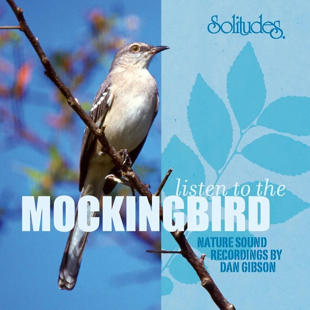 Mockingbird remix daniel. Mockingbird. gibson mockingbird. mockingbird певец. пересмешник песня.