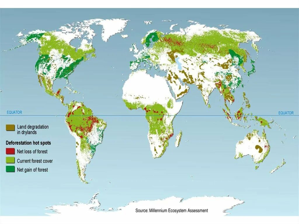 В каких странах есть леса. Интенсивность вырубки лесов в России карта. Карта вырубки тропических лесов. Сокращение площади лесов карта.