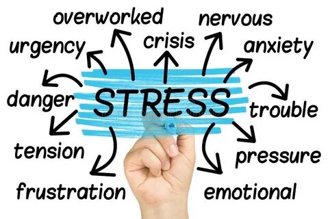 Stress текст