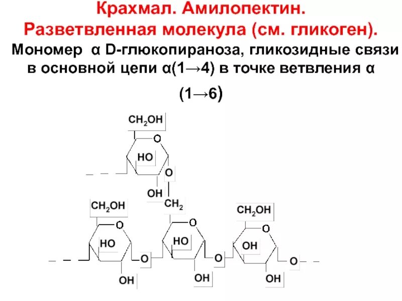 Мономером гликогена является. Тип гликозидной связи гликогена. строение амилозы и амилопектина. строение биозных фрагментов гликогена. гликоген формула мономера.