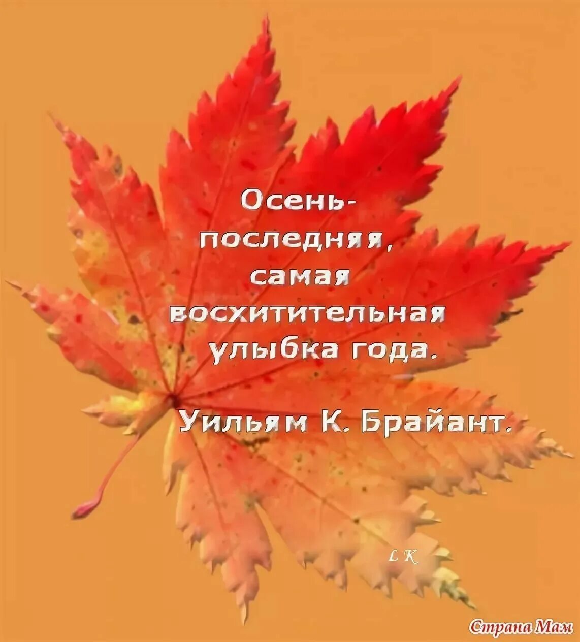 Да что говорить каждый осенний лист. Осенние цитаты. Цитаты про осень. Осень цитаты красивые. Красивые высказывания про осень.