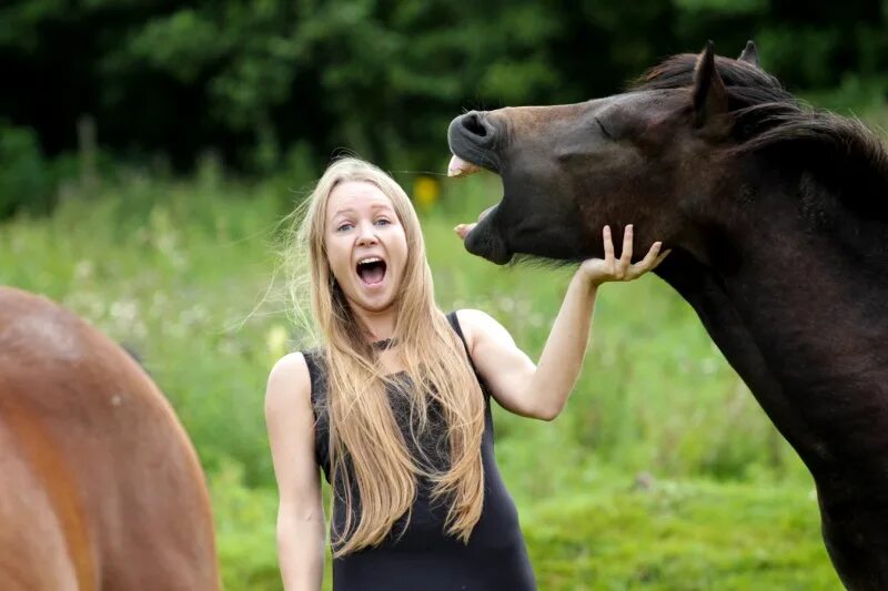 Под дружеское ржание рождается на свет мультфильм. Юнна мориц стихи для детей. Секрет для маленькой компании текст. Под дружеское ржание. Фото от которых любой будет ржать.