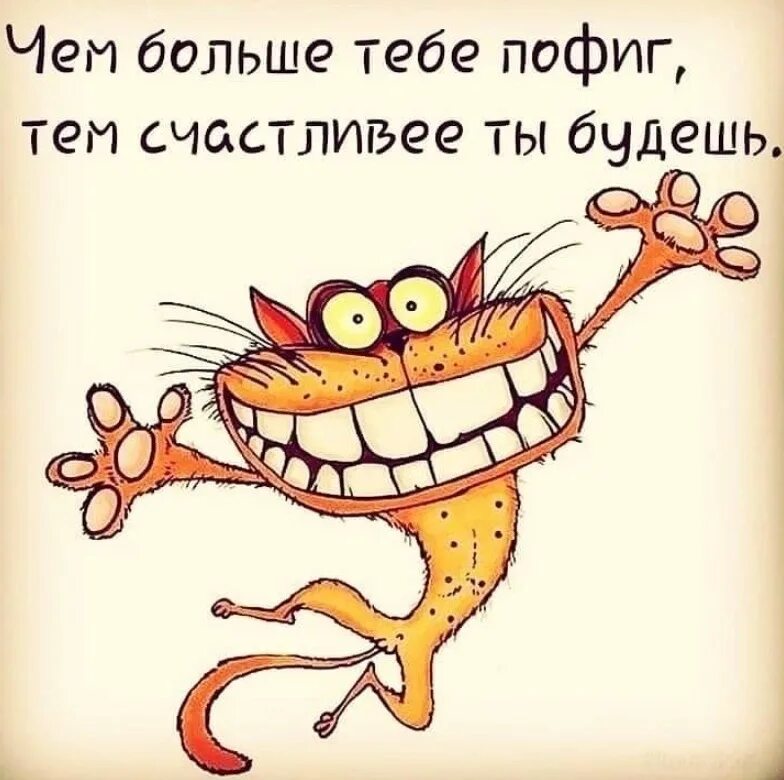 Лови удачу жизнь. Пофиг на все. А мне пофиг. А мне все пофиг. Картинки мне пофиг.