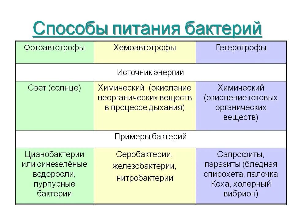 Перечислите способы питания