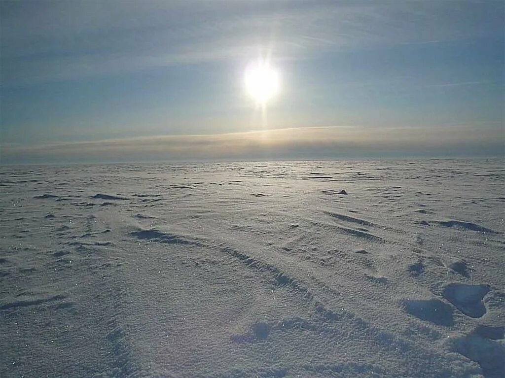 Сильный северный. Северный полюс Арктика Полярная ночь. Южный полюс Полярный день. Полярный день в Арктике. Арктические пустыни Полярный день.