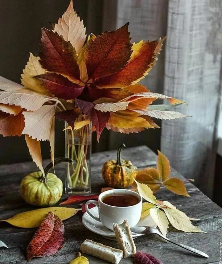 Однажды осенним утром. Осеннее утро. Осенние цветы и кофе. Осень цветы кофе. Осень букет кофе.