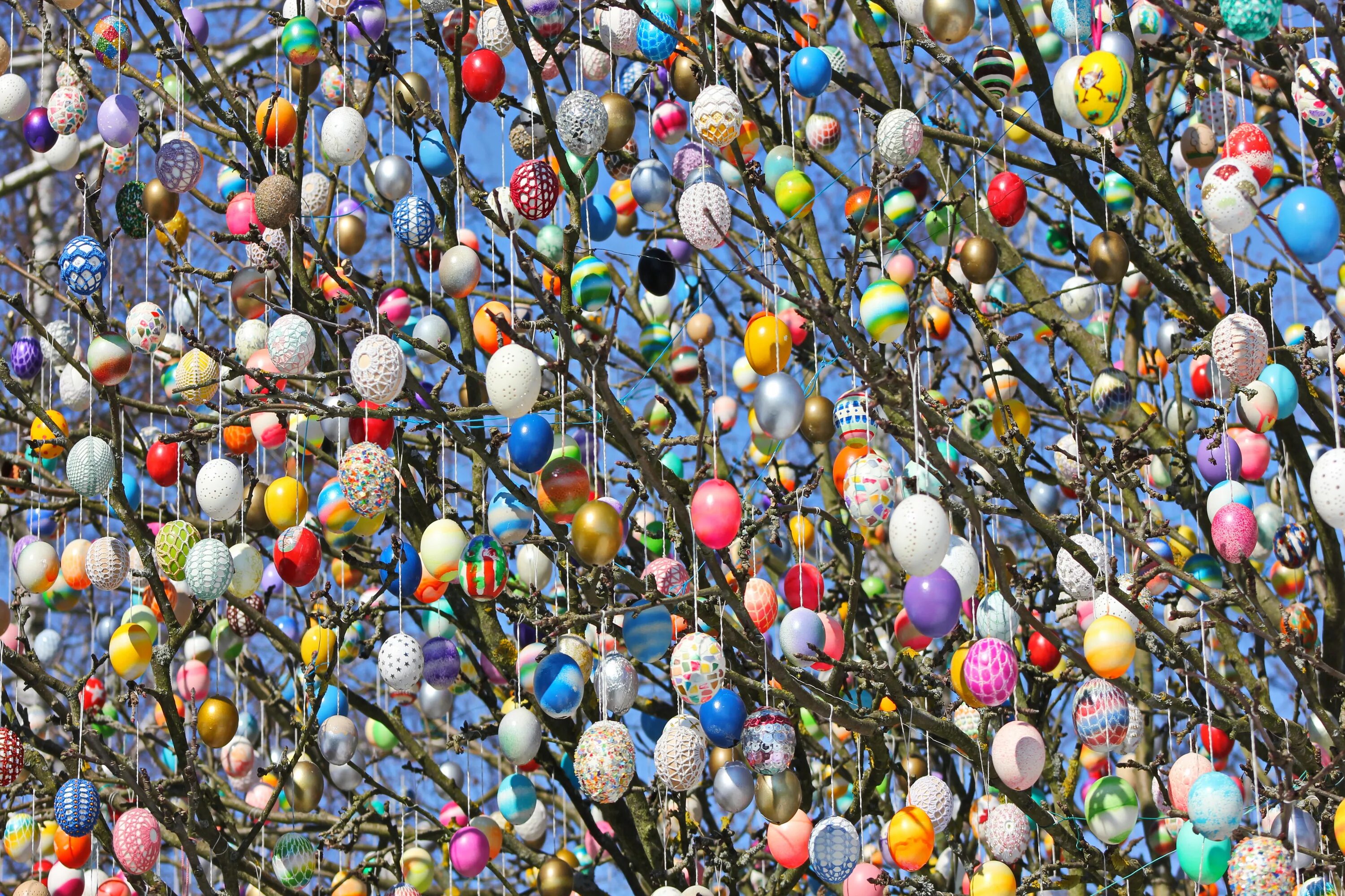 Украшение деревьев яйцами в Германии Пасха. Дерево с пасхальными яйцами Германия. Пасхальное дерево в Германии. Посхальная дерево в Германии. Немецкая пасха в 2024 году какого