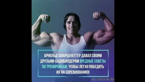 Программа арнольда шварценеггера на массу