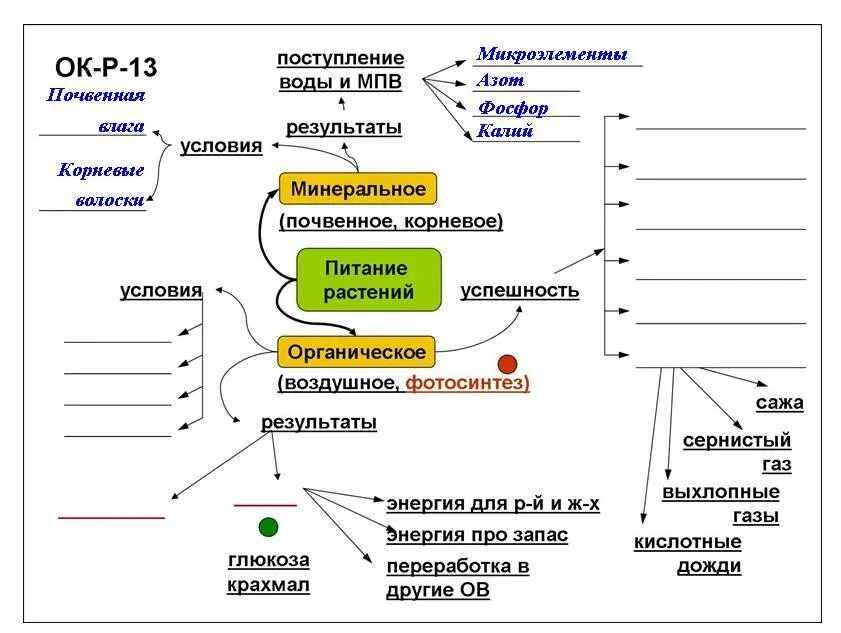 Минеральное питание растений удобрения конспект 6. Минеральное питание растений опорный конспект. минеральное питание и фотосинтез. минеральное и воздушное питание. минеральное и корневое питание растений.