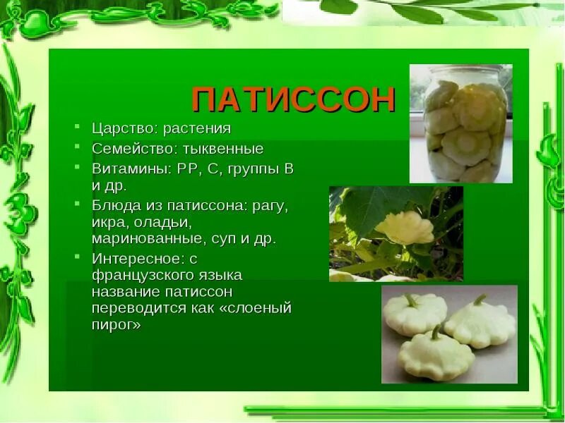 Полезные свойства патиссона. Польза патиссонов для организма. Витамины патиссон. Патиссон какие витамины содержат. Патиссон тыквоцветные.
