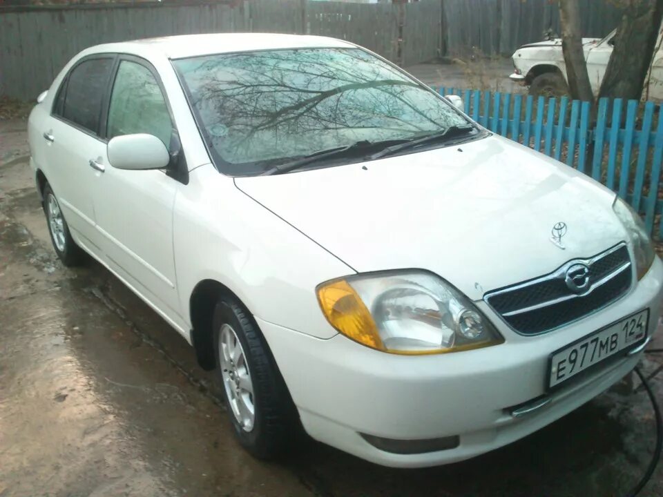 Toyota corolla 1. Тойота королла 120 2001 белый 1. Тойота королла 2005 седан. Тойота королла 120 дром. Тойота королла 120 2001 1.