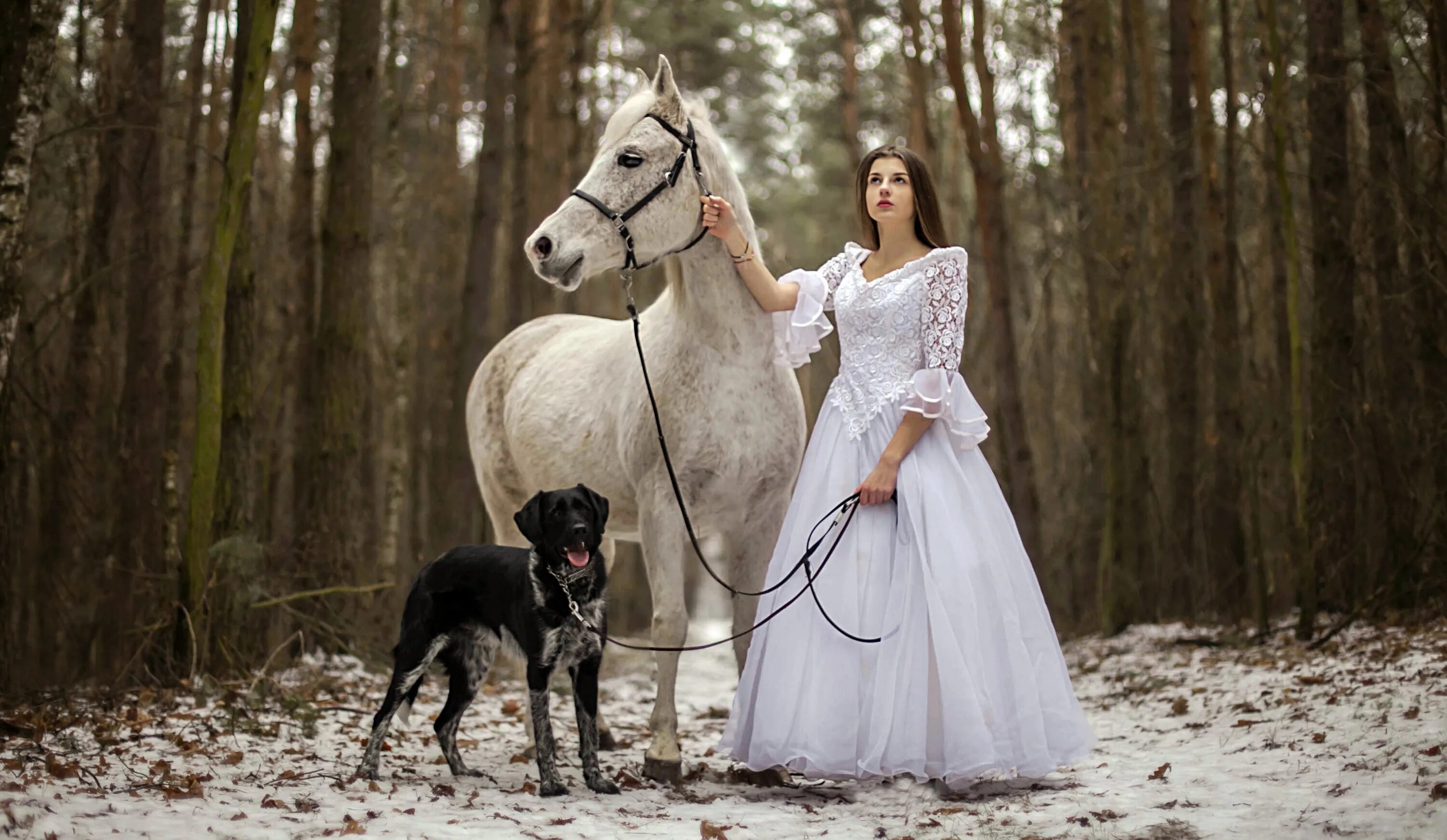 Девушки собаки лошади. Фотосессия с лошадьми. Фотосессия с лошадьми образы. Девушка с лошадью. Фотосессия с белой лошадью.