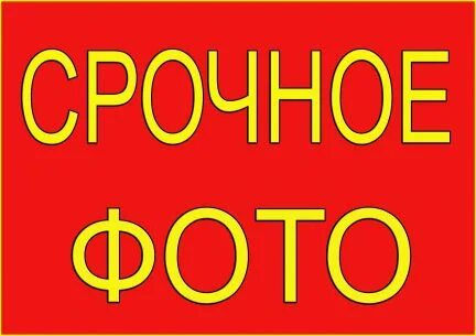 2 срочно