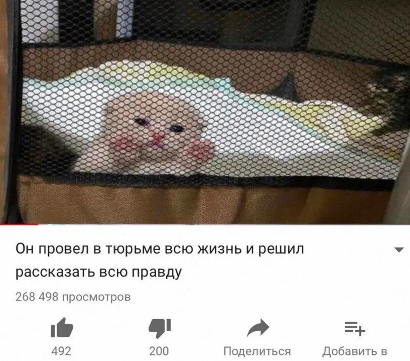 Евтушенко цитаты и афоризмы. Решилась рассказать. Самое ужасное чувство это скучать по человеку. Несут меня пьяного драться. Смешные высказывания про родственников.