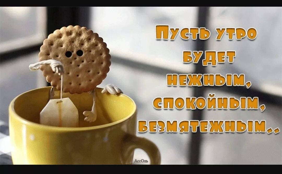 Веселого утра и дня. Открытки с добрым утром прикольные. Позитивного утра. С добрым утром позитивные. Открытки с добрым утром позитивные.