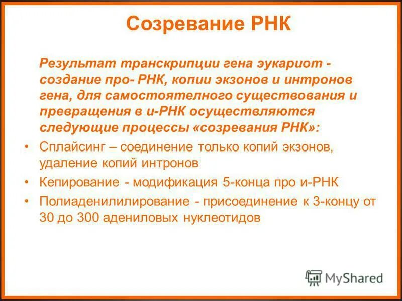 Процесс созревание рнк