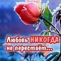 Любовь никогда не перестает