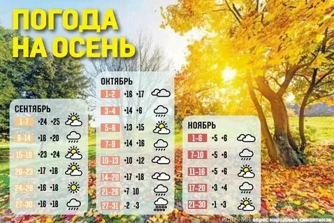 Погода в октябре ноябре ноябрь месяц
