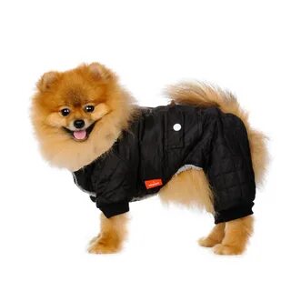 Комбинезоны для собак petmax