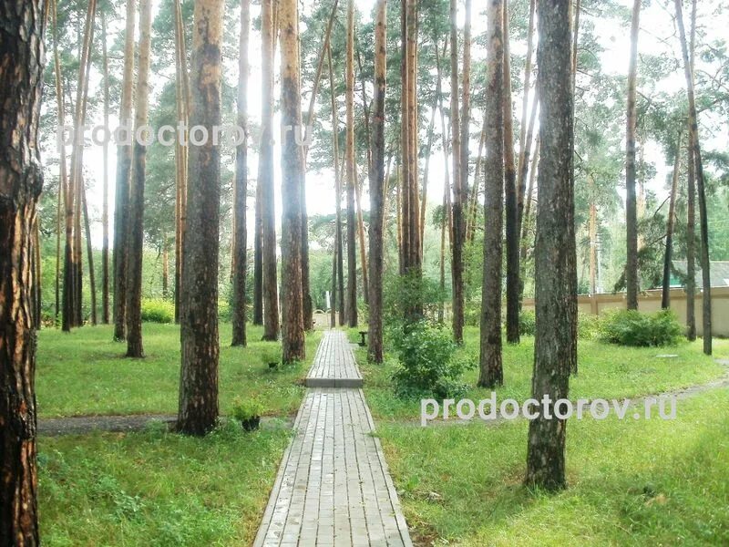 бронхолегочный санаторий 68 пушкино. детский санаторий ильинское. детский санаторий 27. детский санаторий юный нефтяник туапсинский район. детский санаторий ильинское московская область.