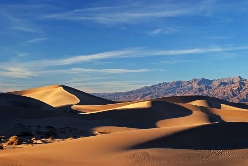 Наибольшая пустыня в мире. Долина смерти Мохаве. Долины в пустыни. Самая большая пустыня.