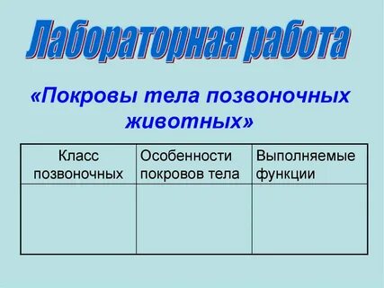 Презентация изучение покровов тела у животных