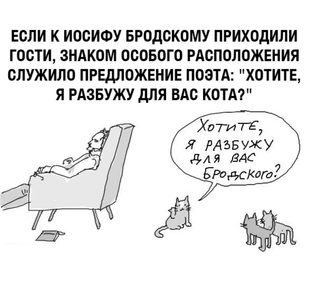 Приходишь будишь меня буду. Хотите я разбужу для вас Бродского. Бродский рисунки котов. Хотите я разбужу для вас кота. Хотите я разбужу для вас кота Бродский.