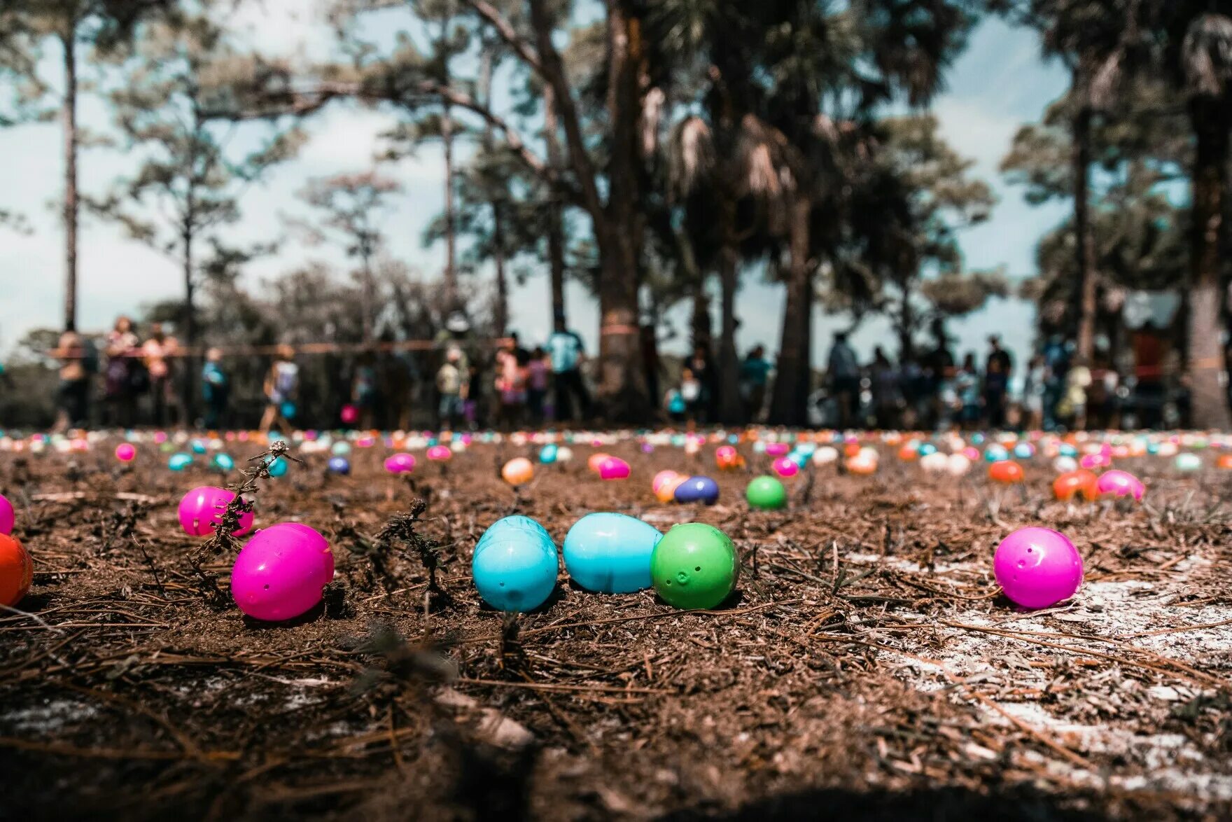 Easter egg 2024. Easter egg 2024. Easter egg 2024. Пасхальное яйцо. Easter egg 2024.