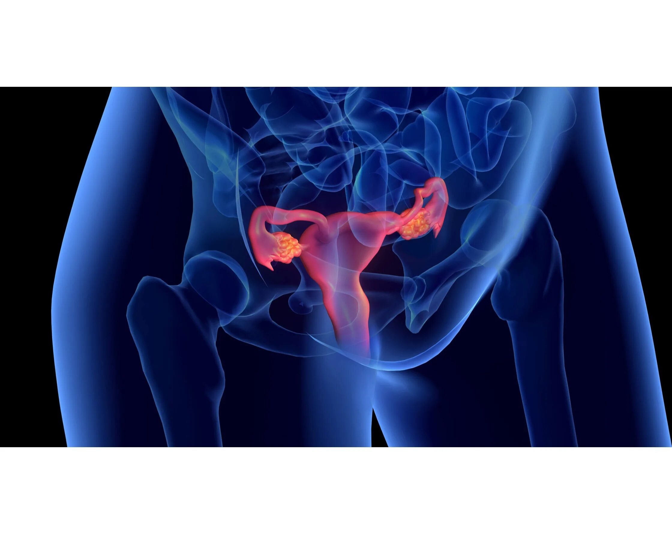 Абстракция женские органы. Ultrasound Diagnostics of female genital Organs.
