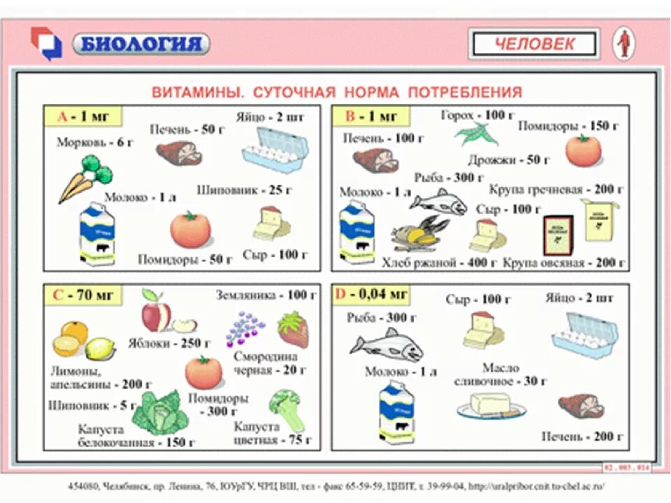 Витамины нормы питания. Суточная потребность витаминов таблица. Суточная норма потребления витаминов. Норма потребления витаминов для детей. Витамины и минералы суточная норма таблица.