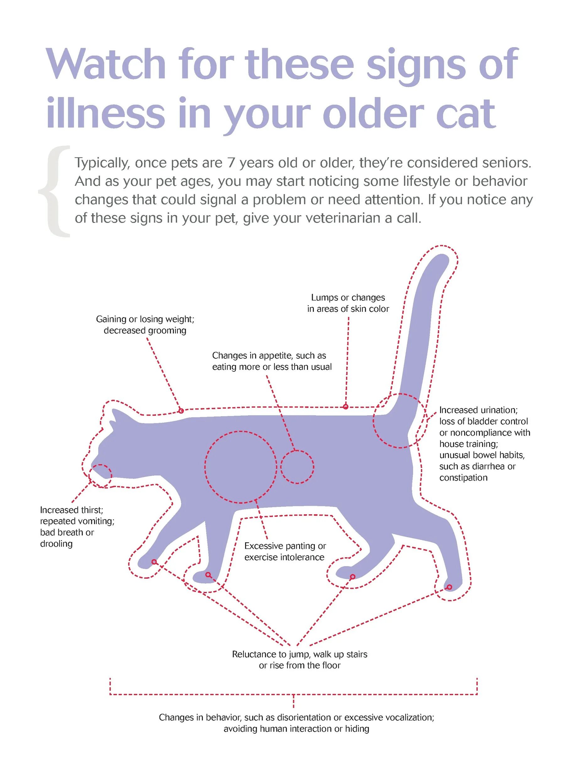 Change cat. Силуэты кошка пес. bladder loss. what is typical for cats and dogs. текст по английскому языку the cat&#039;s behavior.