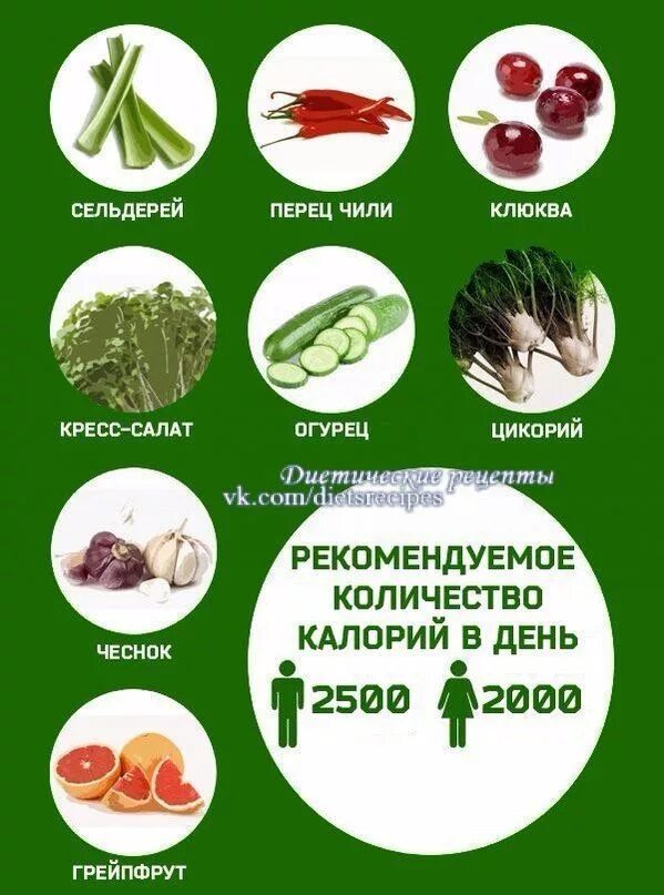 Продукты с 0 калорийностью. Продукты с нулевой Калло. Пища с нулевой калорийностью. Продукты с нулевыми калориями. Продукты с отрицательной калорийностью.