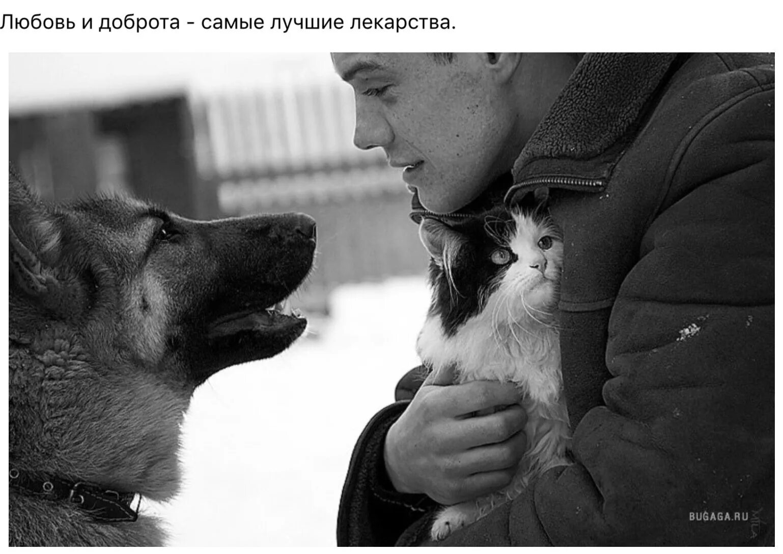 Дружба детей и собак. Любовь детей к животным. Самая верная дружба. Дети дружба животные. Собака лучший друг человека.
