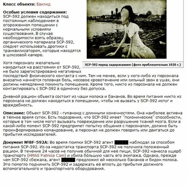 Scp содержание