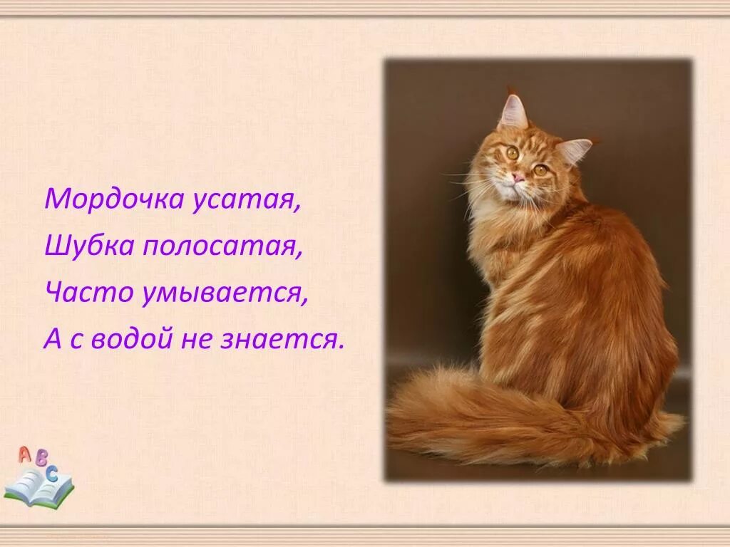 Часто умывается а с водой не знается. Мордочка усатая шубка полосатая часто. Мордочка усатая шубка полосатая часто умывается а с водой не знается. Мордочка усатая шубка полосатая загадка. Мордочка усатая.