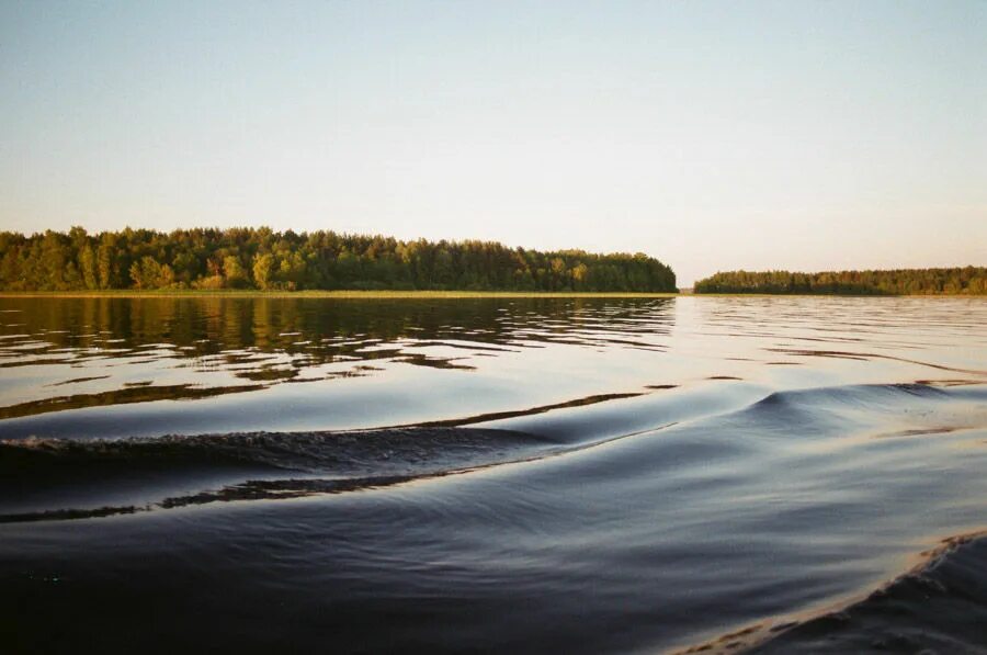 Озеро селигер имеет происхождение. Река Селигер. Озеро Селигер летом. Береговая линия Селигера. Озеро Селигер Карелия.