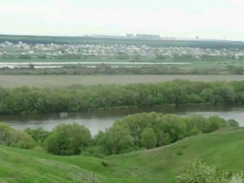 Село устье воронежская область