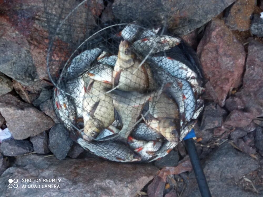 Новости с водоемов питерский 2023. Новости с водоемов питерский 2023. Питерская рыбалка. Новости с водоемов питерский 2023. Новости с водоемов питерский 2023.