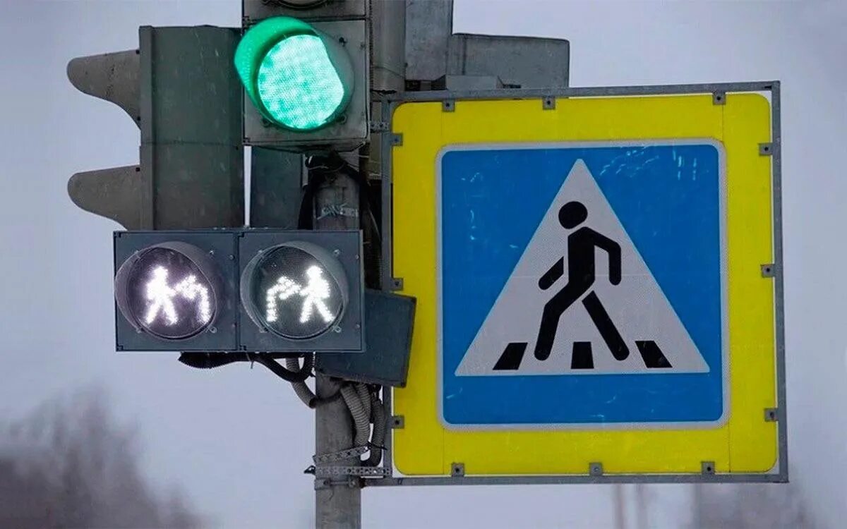 Светофор два белых. Пешеходный светофор. новые светофоры. светофор с доп секцией. доп секция светофора для пешеходов.