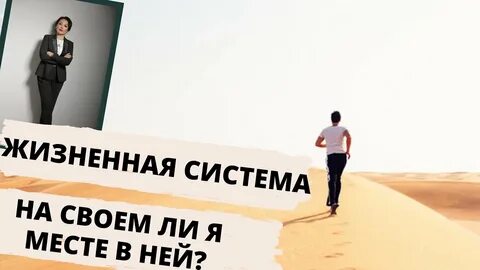 В жизнь пришла система