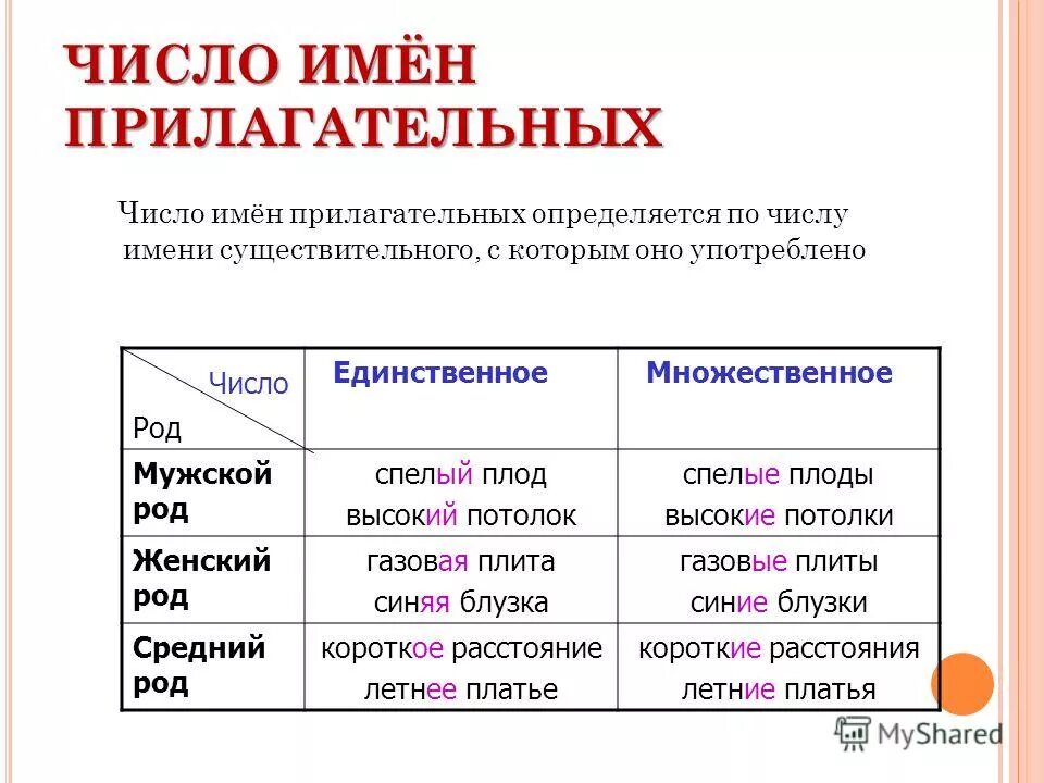 Быстрого течения род имени прилагательного. Определить род прилагательных. Род имен прилагательных. Определить род имен существительных. Род имен прилагательных таблица.