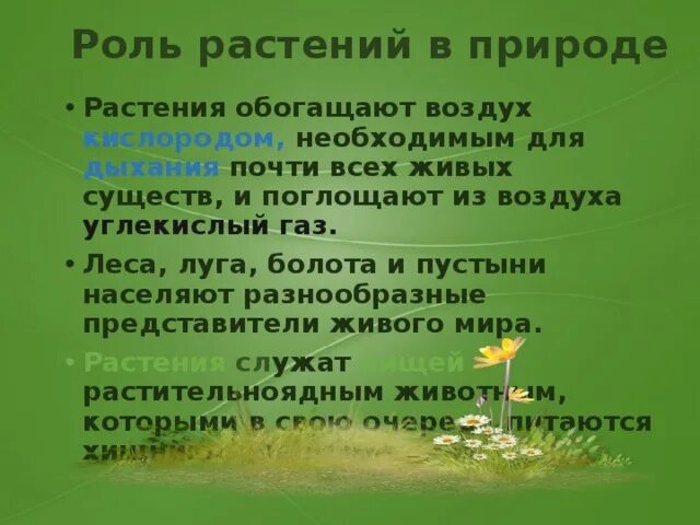 Роль растений в природе. Важность растений в природе. Сообщение о роли растений в природе. Роль цветка в природе. Ведущая роль растений в природном сообществе заключается