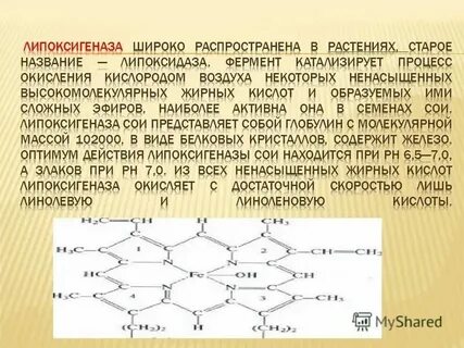 Ферменты животного происхождения что это